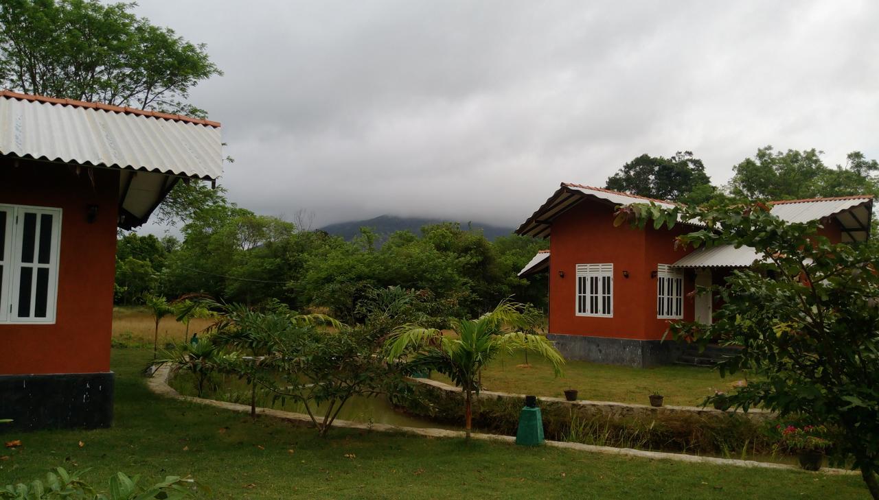 Ritigala Lodge ハバラナ エクステリア 写真