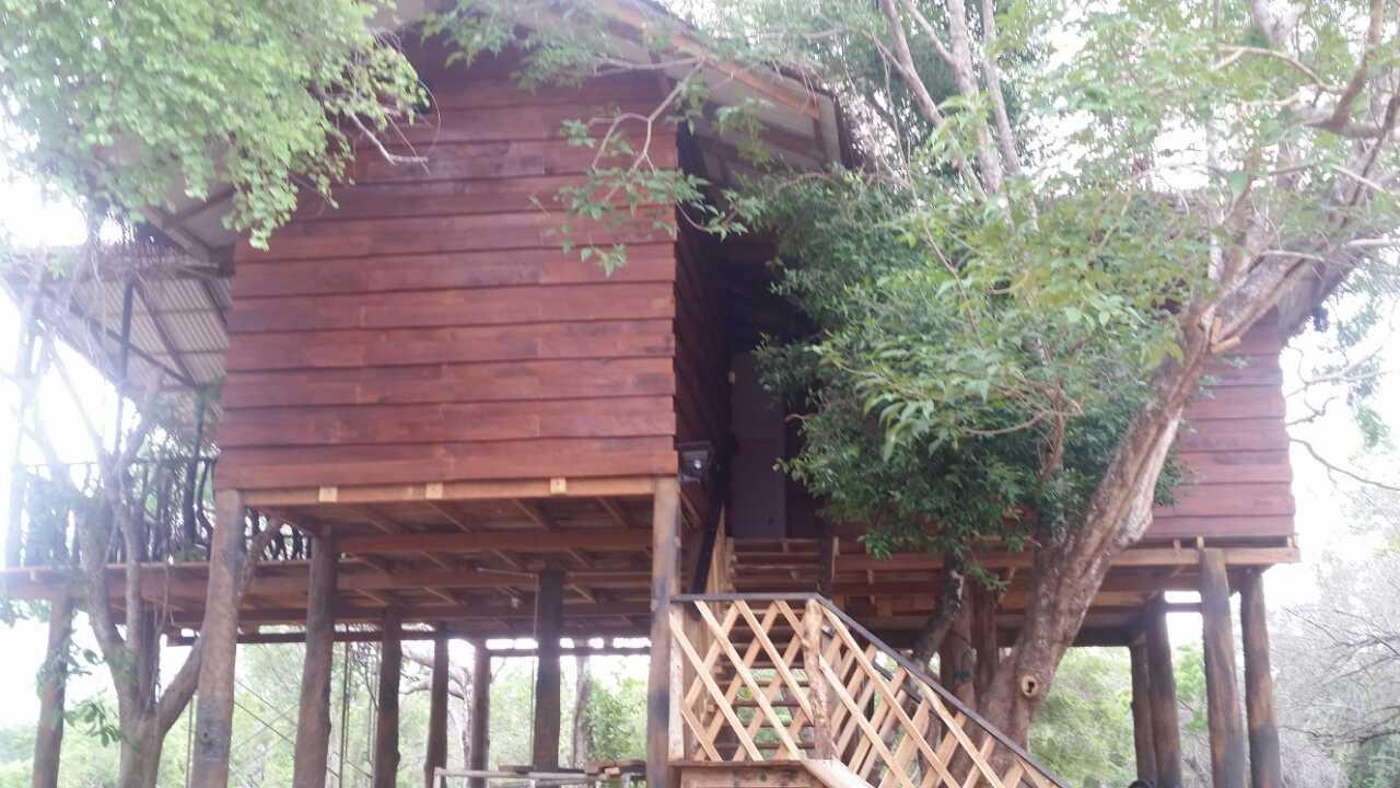 Ritigala Lodge ハバラナ エクステリア 写真