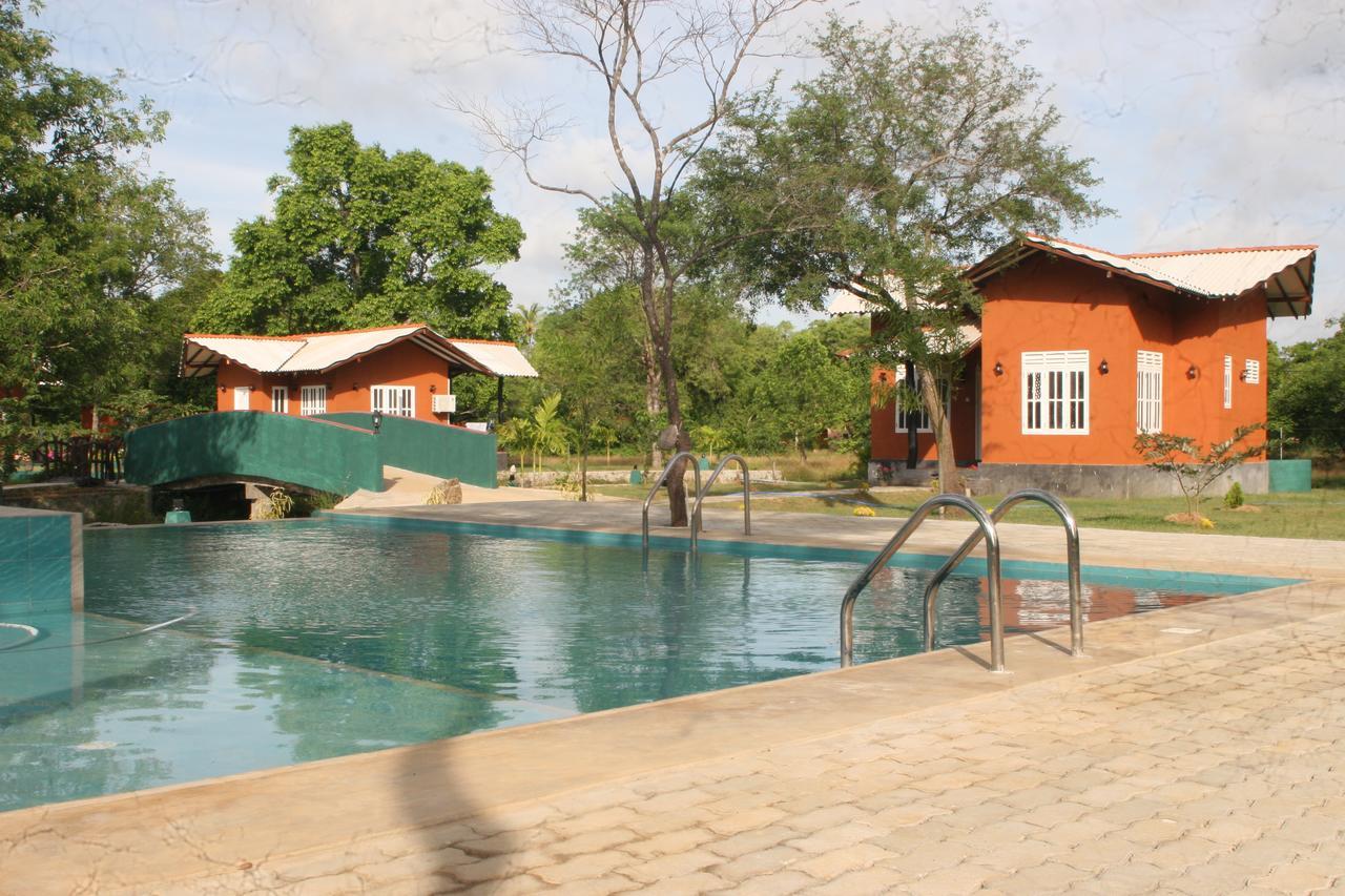 Ritigala Lodge ハバラナ エクステリア 写真